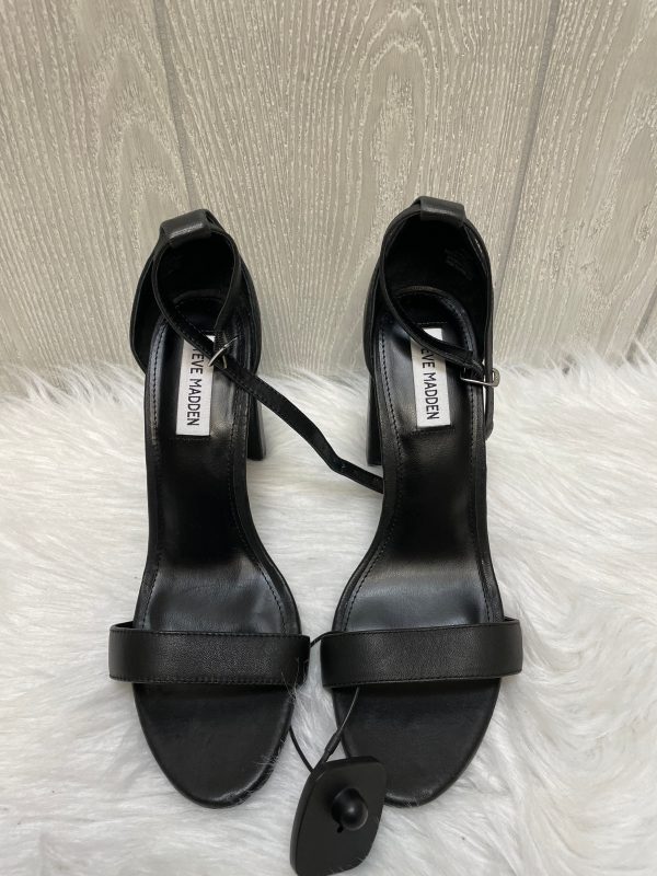 Black Sandals Heels Block Steve Madden, Size 10 on Sale