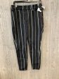 Black Pants Dress Maurices, Size 8 on Sale