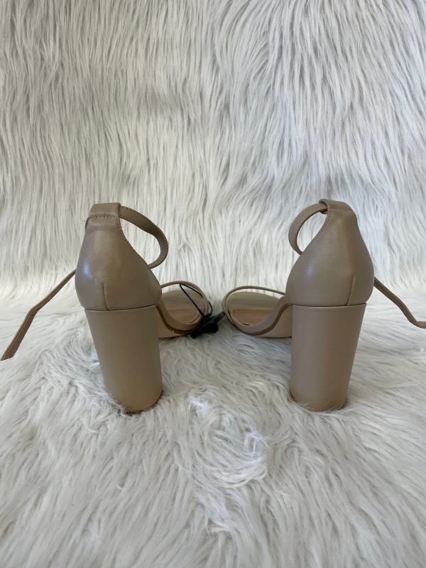 Tan Sandals Heels Block Steve Madden, Size 10 Fashion