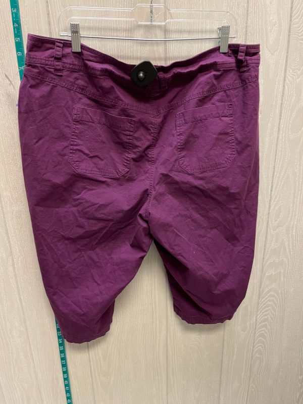 Purple Shorts Lane Bryant, Size 20 For Cheap