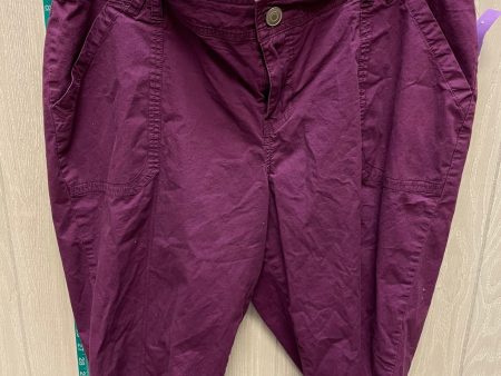 Purple Shorts Lane Bryant, Size 20 For Cheap