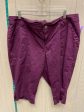 Purple Shorts Lane Bryant, Size 20 For Cheap