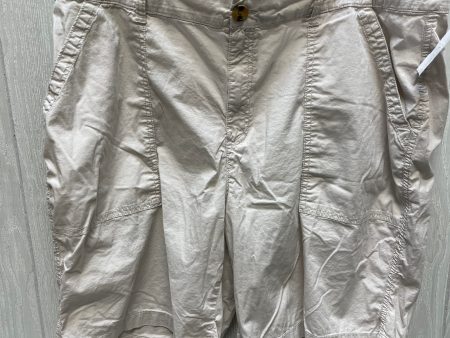 Tan Shorts Style And Company, Size 20 on Sale