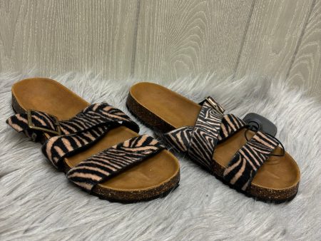 Zebra Print Sandals Flats American Eagle Shoes, Size 8 Supply