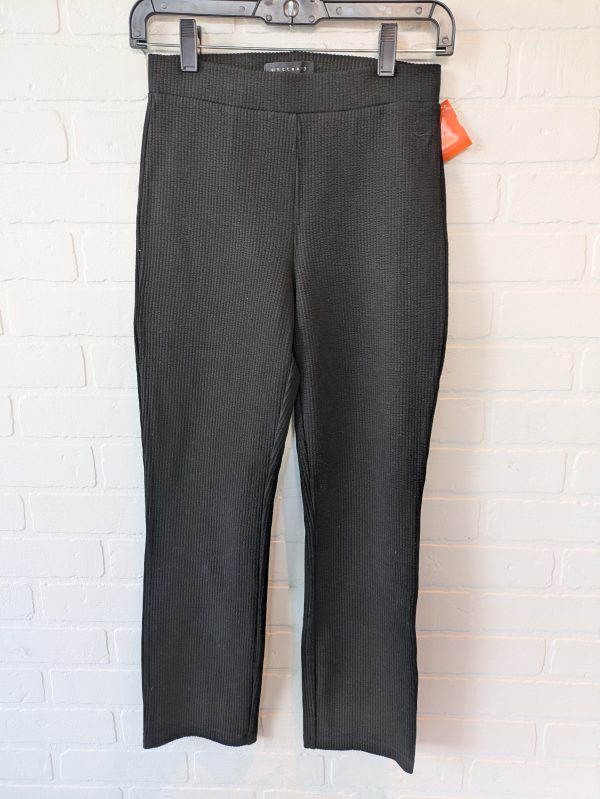 Black Pants Lounge Sanctuary, Size 0 For Discount