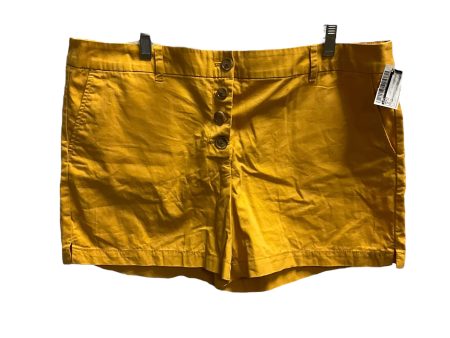 Yellow Shorts Loft, Size 16 Fashion