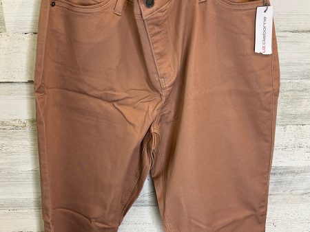 Tan Capris Liz Claiborne, Size 18 Online