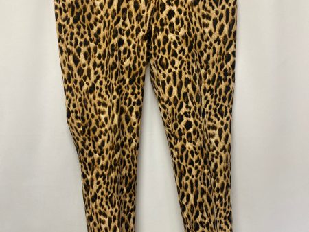 Animal Print Pants Other Chicos, Size 6 Online Hot Sale