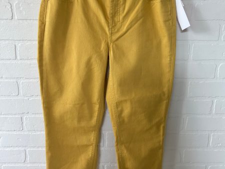 Yellow Pants Other Talbots, Size 10 Fashion