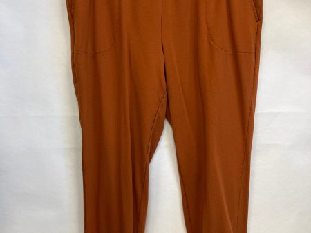 Athletic Pants By Clothes Mentor  Size: 1x For Cheap