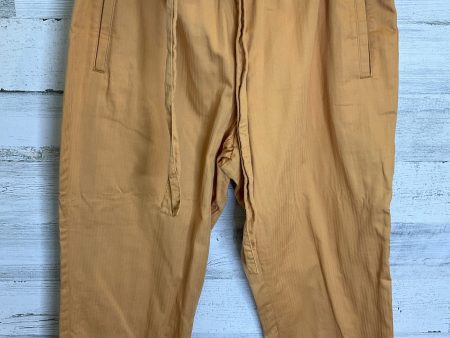 Yellow Capris Loft, Size 8 Online Hot Sale