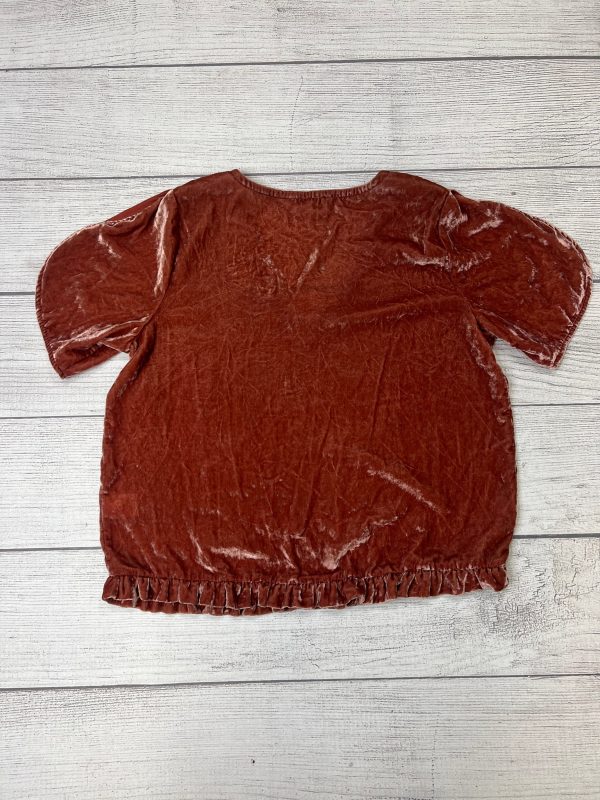 Velvet Top Short Sleeve Madewell, Size L Online Sale