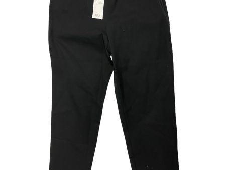 Black Pants Designer Eileen Fisher, Size Xs Hot on Sale